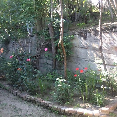 Guesthouse Malkhazi Borjomi Εξωτερικό φωτογραφία