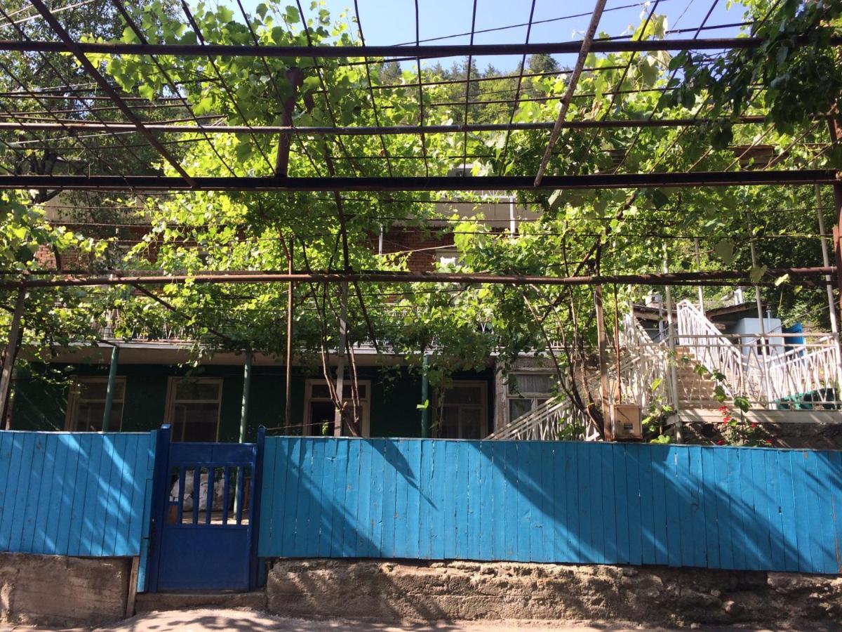 Guesthouse Malkhazi Borjomi Εξωτερικό φωτογραφία