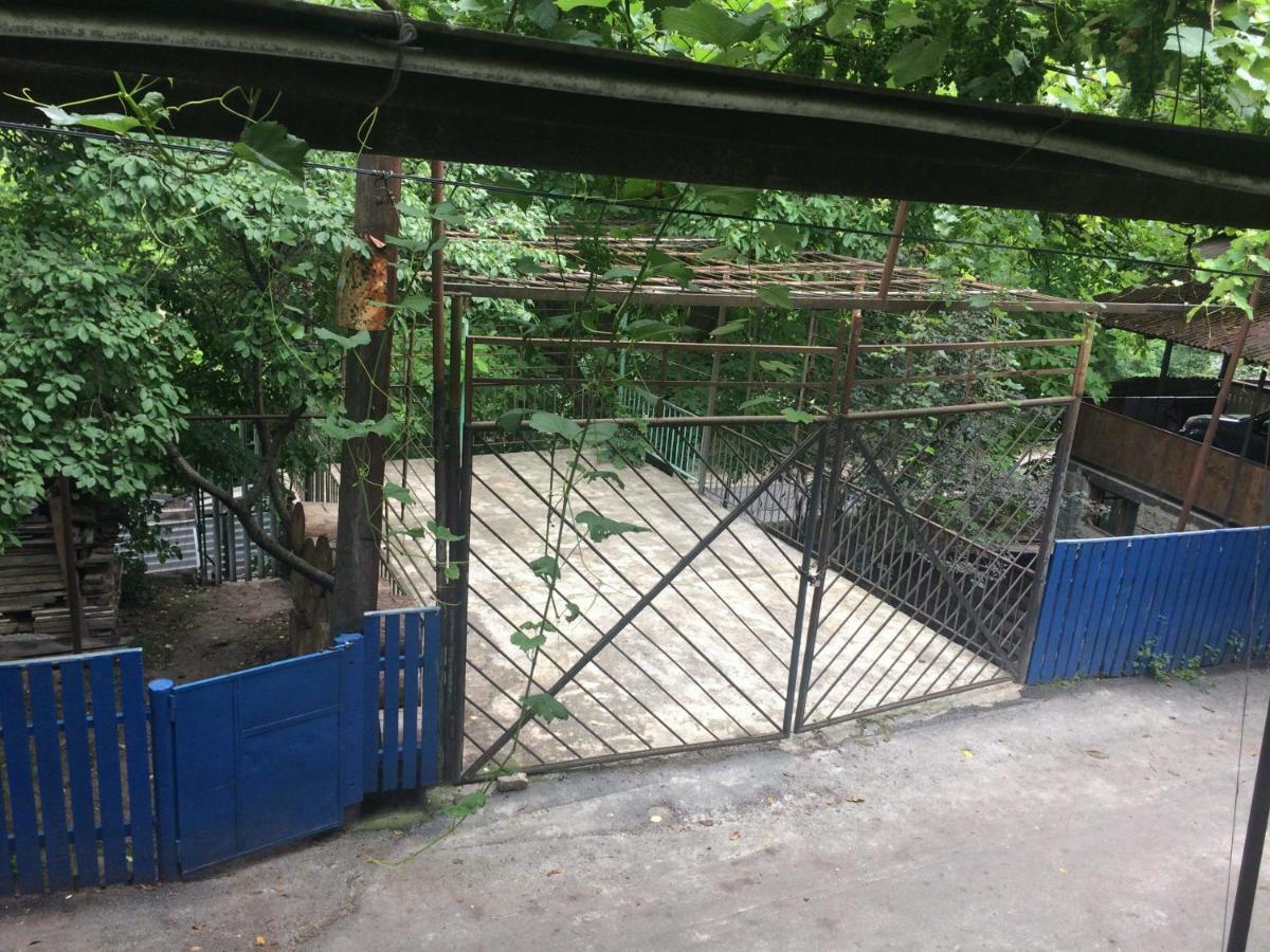 Guesthouse Malkhazi Borjomi Εξωτερικό φωτογραφία